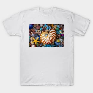 Nautilus On Polished Colorful Stones T-Shirt